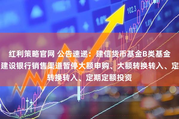 红利策略官网 公告速递：建信货币基金B类基金份额在中国建设银行销售渠道暂停大额申购、大额转换转入、定期定额投资