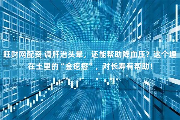 旺财网配资 调肝治头晕，还能帮助降血压？这个埋在土里的“金疙瘩”，对长寿有帮助！