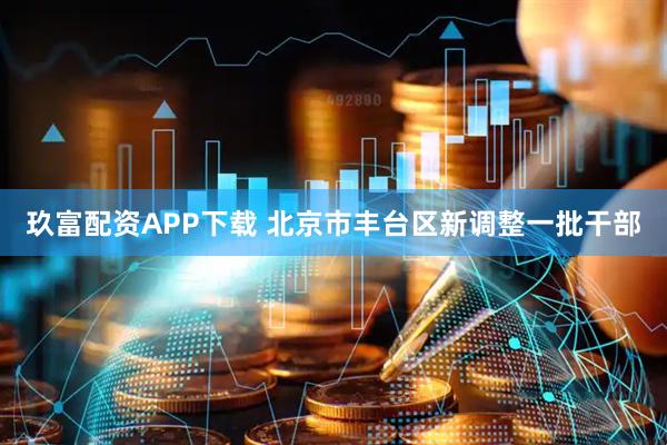 玖富配资APP下载 北京市丰台区新调整一批干部